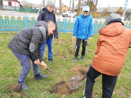 Екологія нашого міста: його чистота залежить від кожного з нас